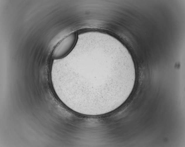 X0000112921114200910051101