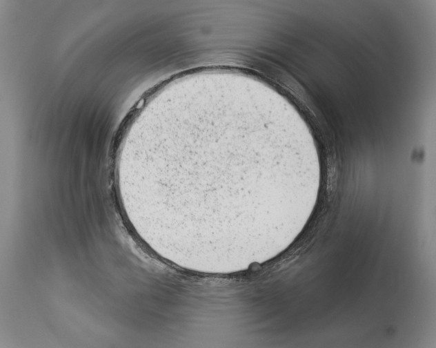 X0000112921116200910051101