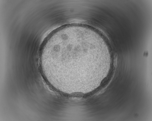 X0000112921117200910051101