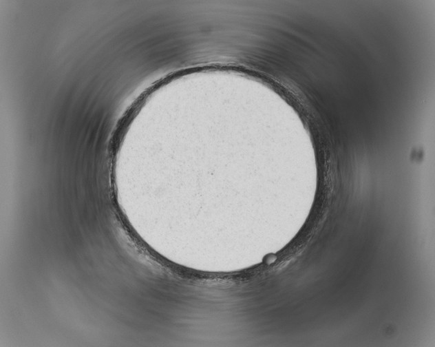 X0000112921118200910051101