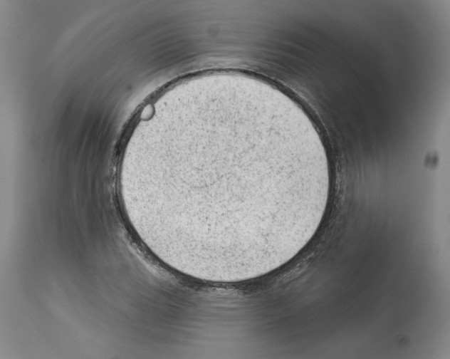 X0000112921119200910051101