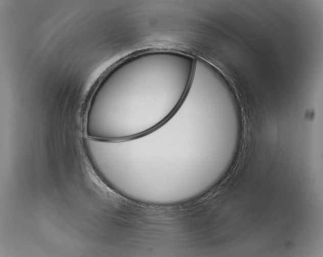 X0000112921120200910051101