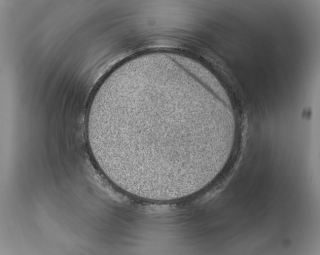 X0000112921121200910051101