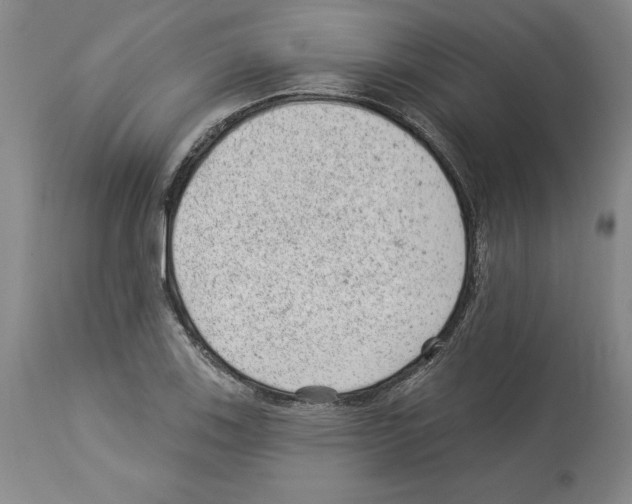 X0000112921123200910051101
