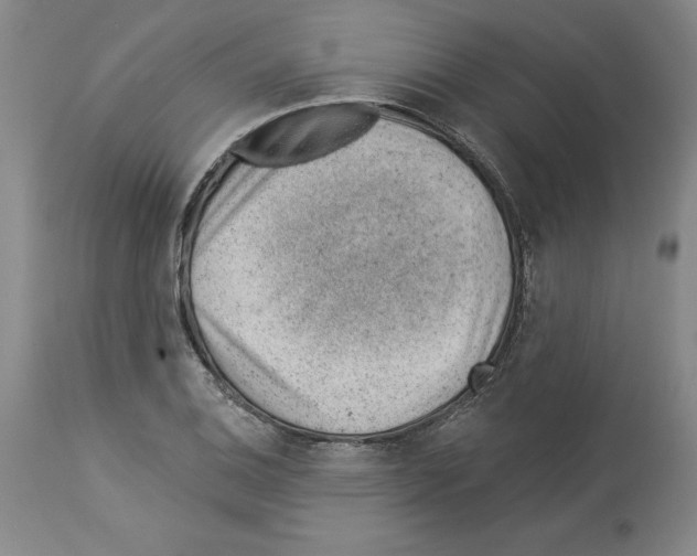 X0000112921124200910051101