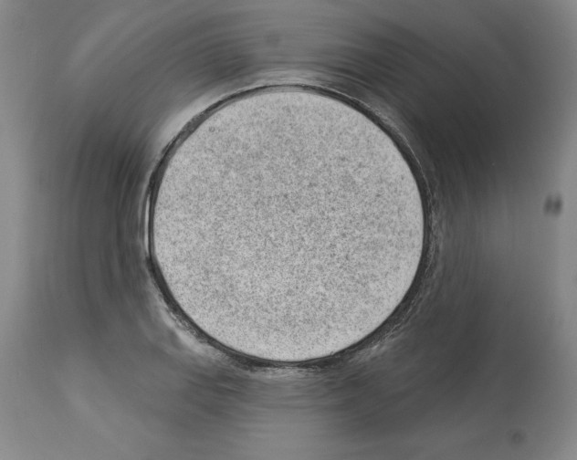 X0000112921127200910051101