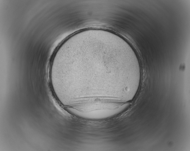 X0000112921128200910051101