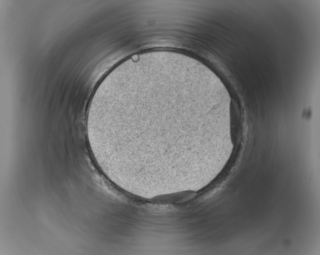 X0000112921129200910051101