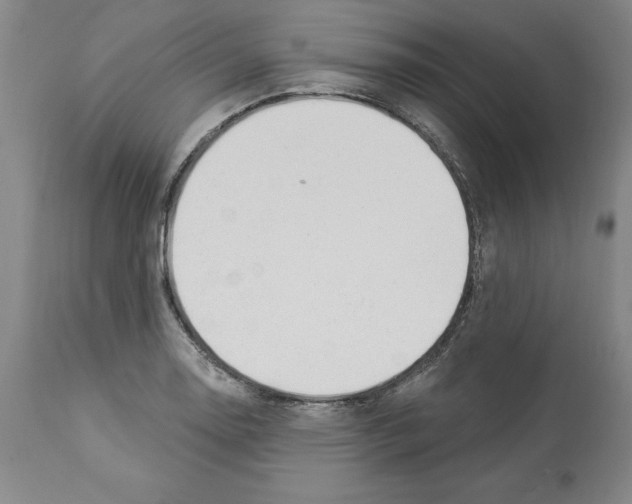 X0000112921130200910051101