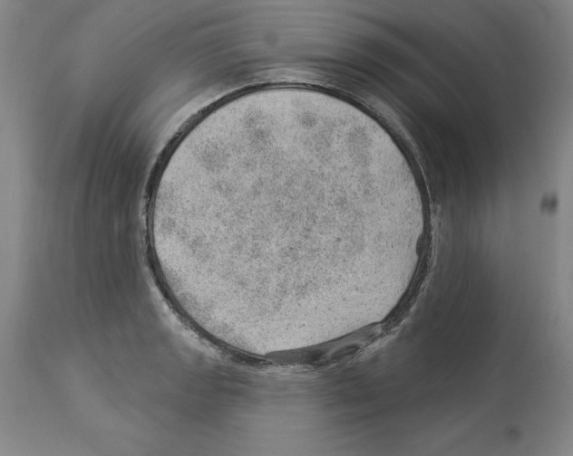 X0000112921133200910051101