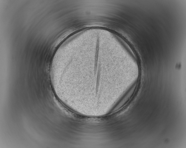 X0000112921137200910051102