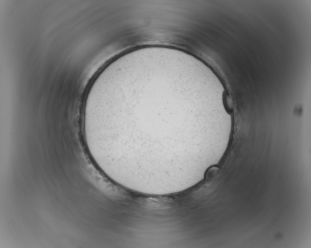 X0000112921138200910051102