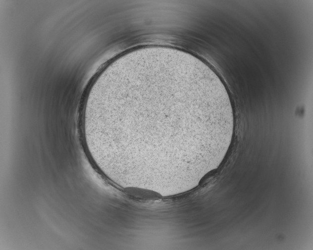 X0000112921139200910051102