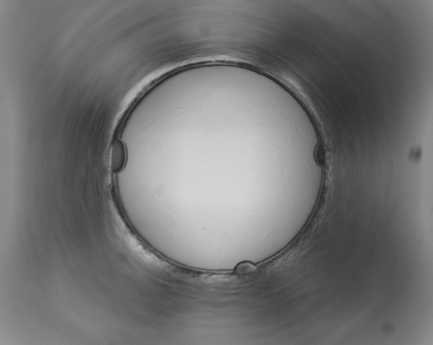 X0000112921140200910051102
