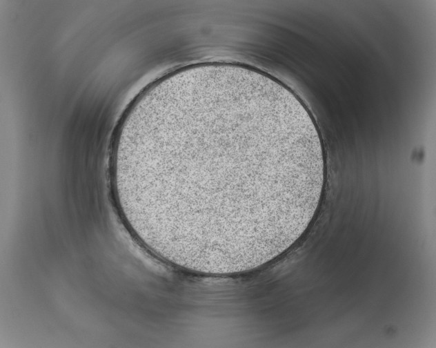 X0000112921142200910051102