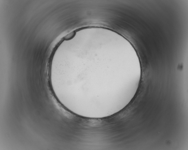 X0000112921144200910051102