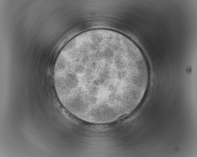 X0000112921145200910051102