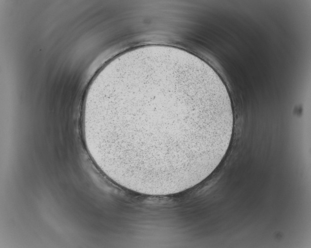 X0000112921146200910051102