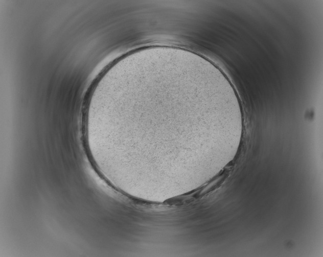 X0000112921147200910051102