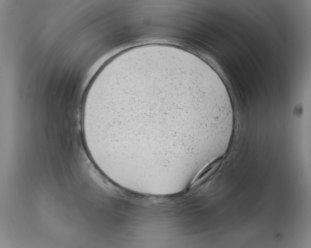X0000112921148200910051102