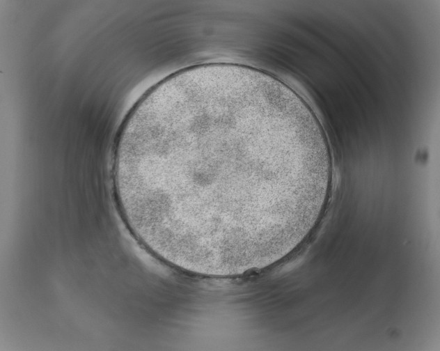 X0000112921149200910051102