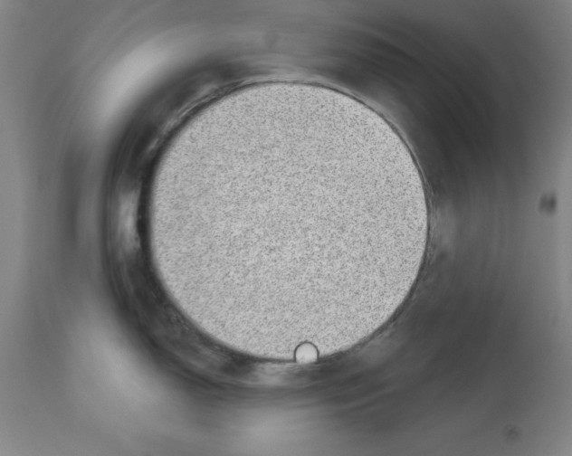X0000112921150200910051102