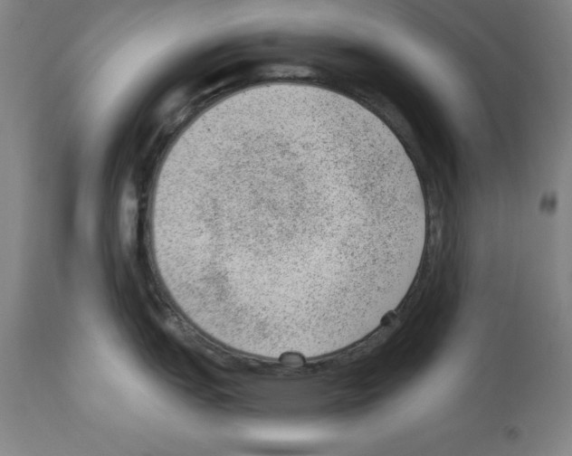 X0000112921151200910051102