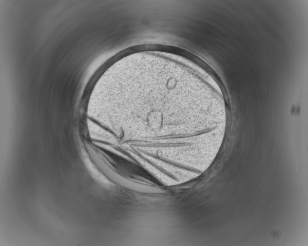 X0000112921152200910051102