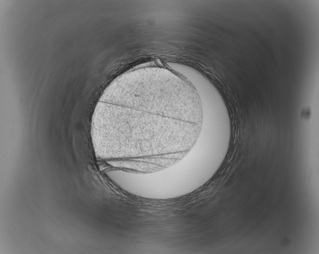 X0000112921153200910051101