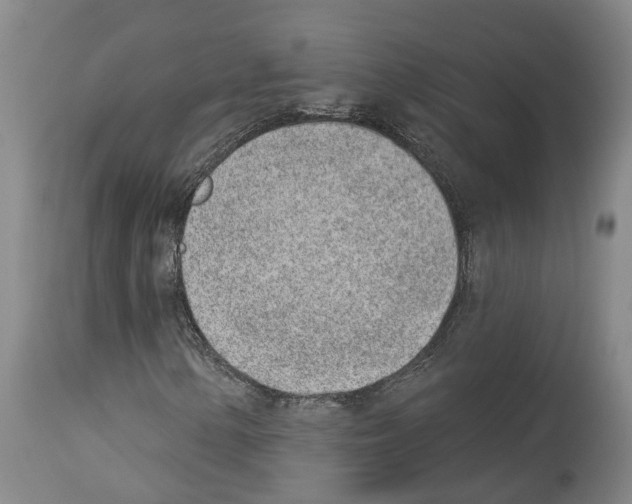 X0000112921154200910051101