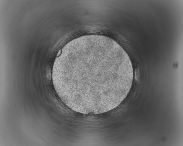 X0000112921155200910051101