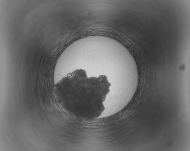 X0000112921156200910051101