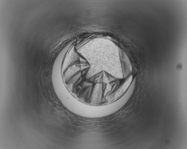 X0000112921157200910051101