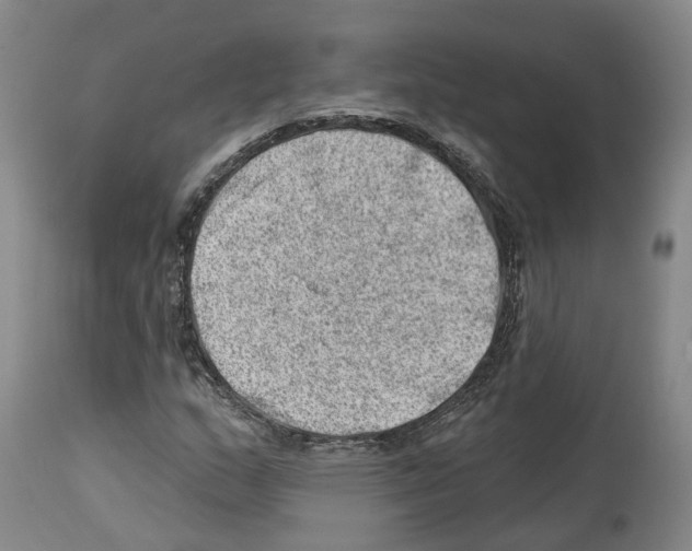 X0000112921159200910051101