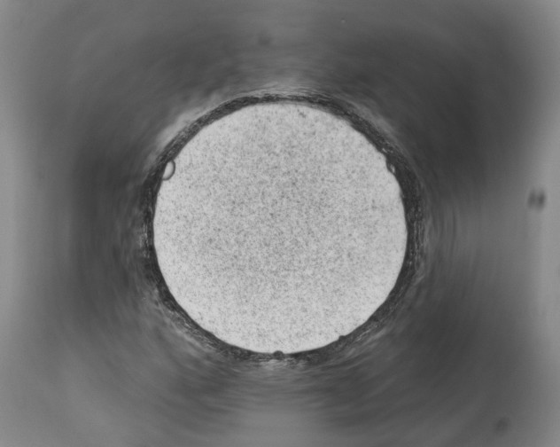 X0000112921160200910051101