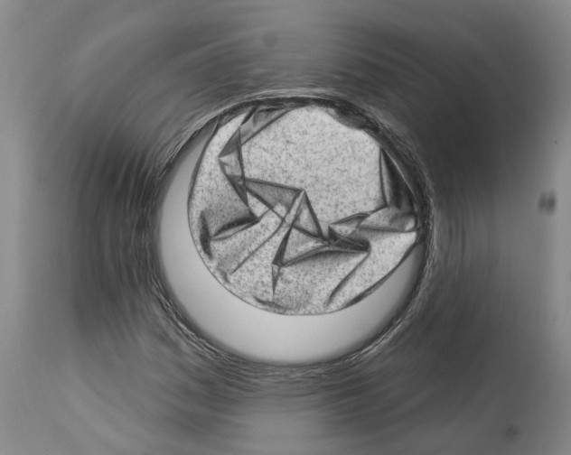 X0000112921161200910051101