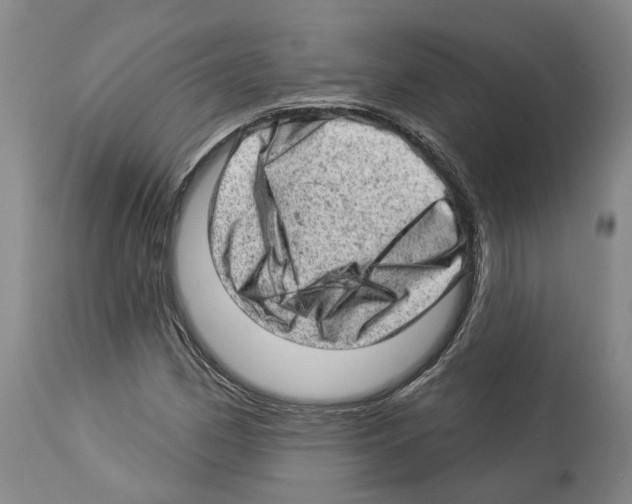 X0000112921162200910051101