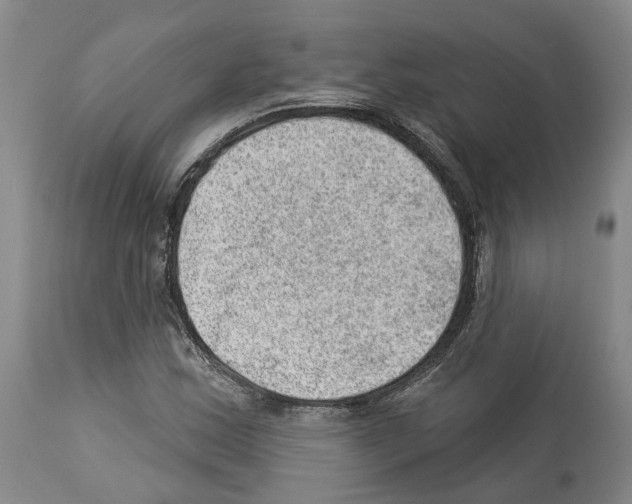 X0000112921163200910051101