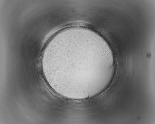 X0000112921164200910051101