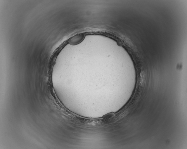 X0000112921165200910051101