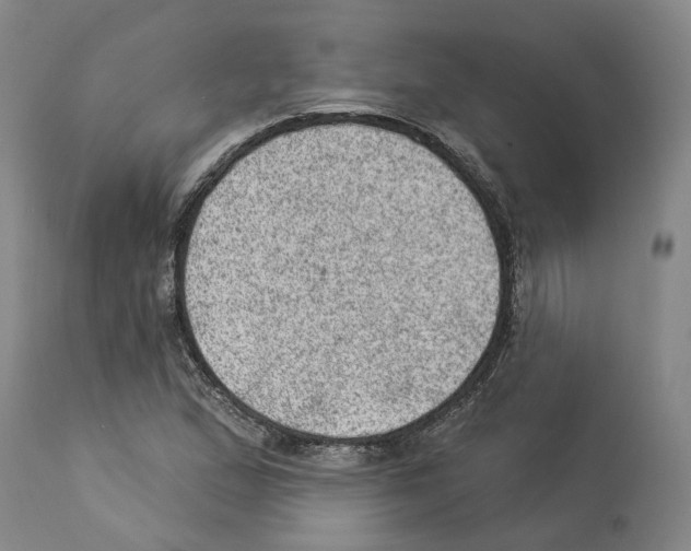 X0000112921167200910051101