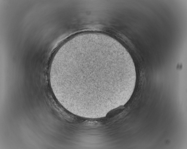 X0000112921168200910051101