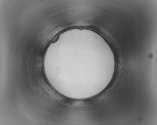 X0000112921169200910051101