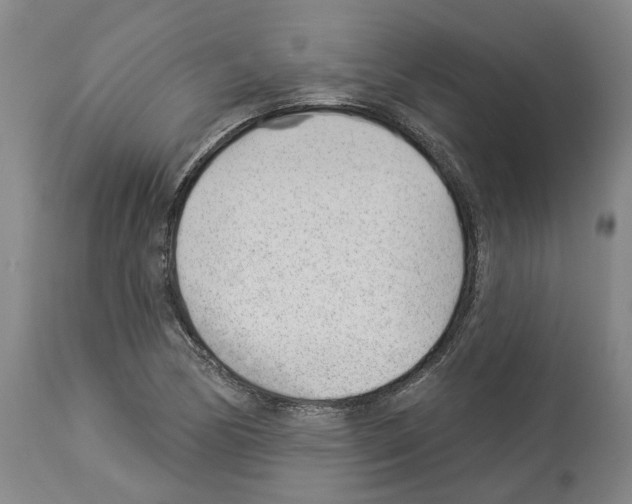 X0000112921170200910051101
