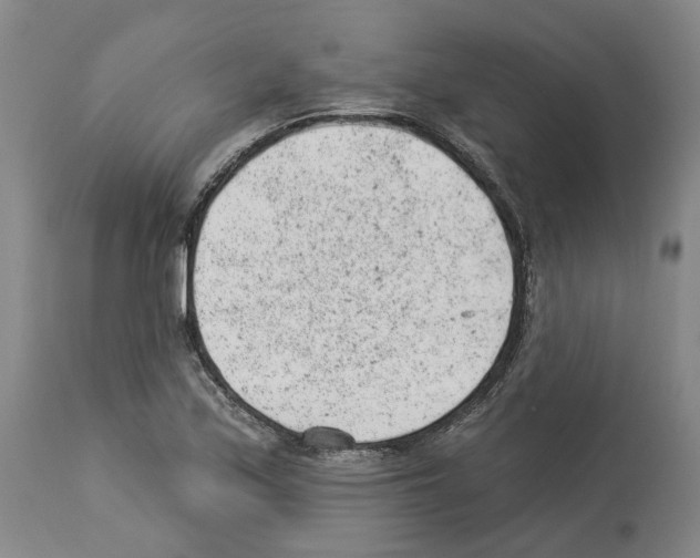 X0000112921171200910051101