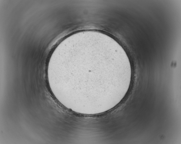 X0000112921173200910051101