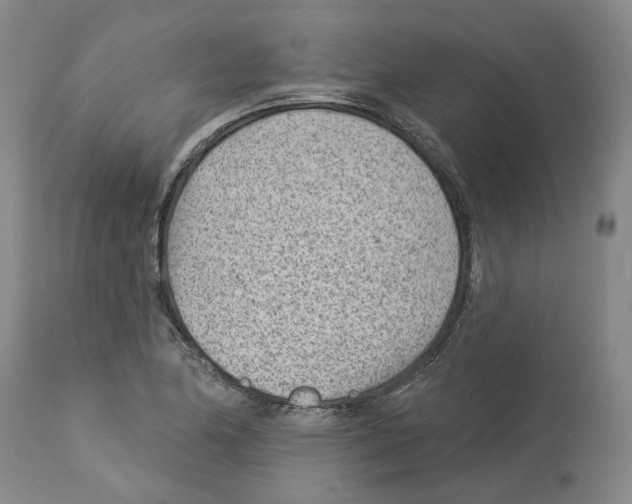 X0000112921174200910051101