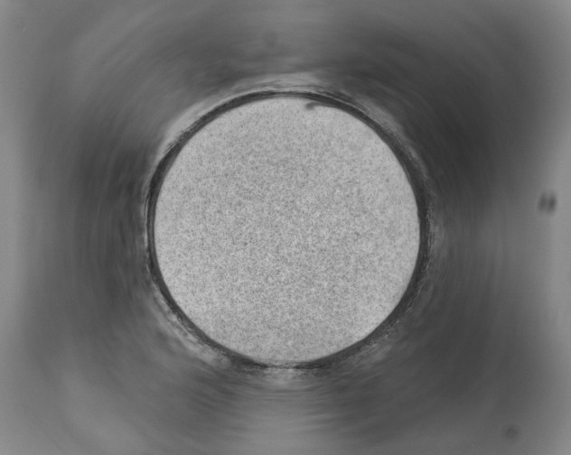 X0000112921176200910051101