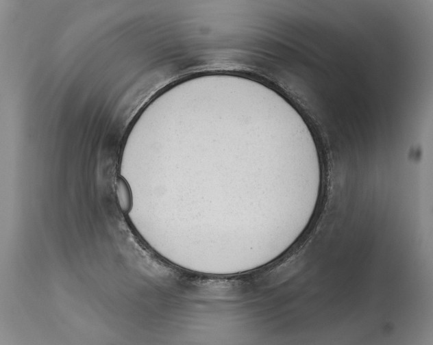 X0000112921177200910051101