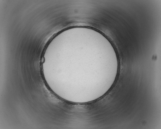 X0000112921181200910051101